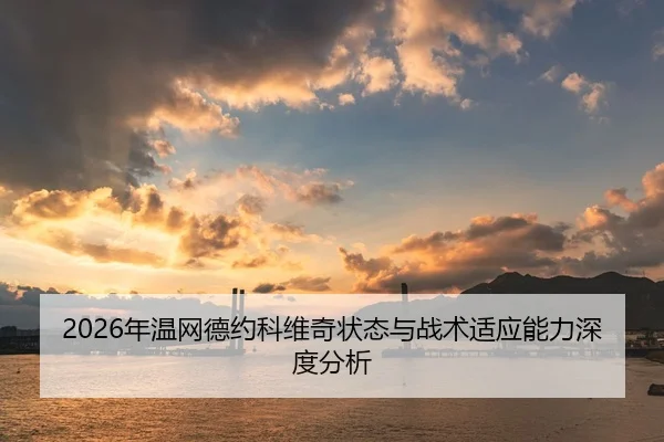 2026年温网德约科维奇状态与战术适应能力深度分析
