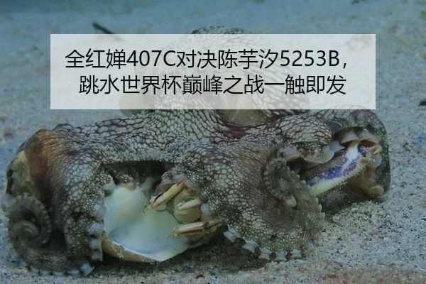 全红婵407C对决陈芋汐5253B，跳水世界杯巅峰之战一触即发