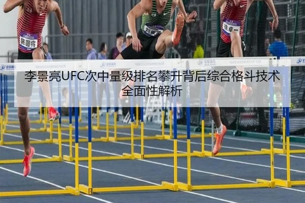 李景亮UFC次中量级排名攀升背后综合格斗技术全面性解析